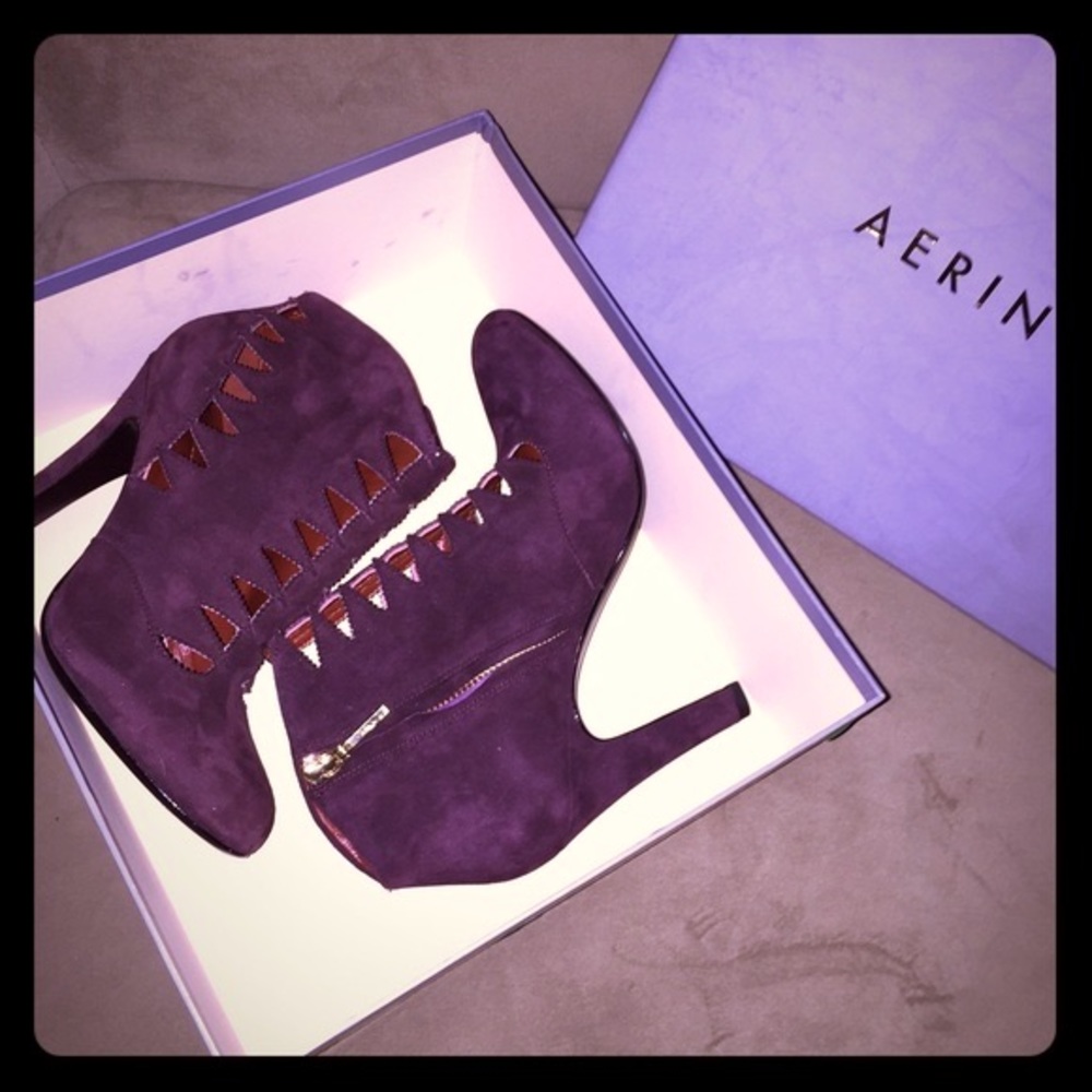 🎉NWT! Sexy😍 Aerin" Suede Eggplant boots!